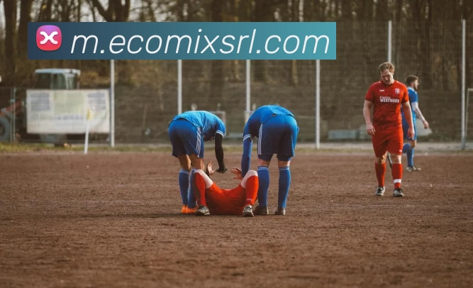 App 展示图